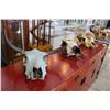 Image 2 : GROUP OF 3 SUN BLEACHED HAND PAINTED WITH NATIVE MOTIF BULL SKULLS