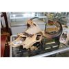 Image 1 : NICELY CRAFTED FRANKLIN MINT CERAMIC BULL SKULL