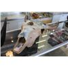 Image 1 : HAND PAINTED CERAMIC BULL SKULL