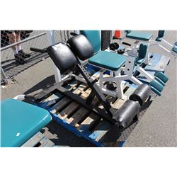 LADY APEX LOWER BACK PROFESSIONAL EXERCISE MACHINE