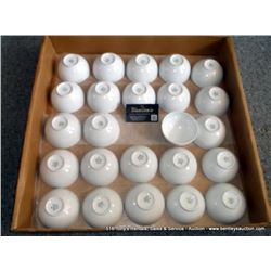 BOX: B-CUPS 24X THE MONEY