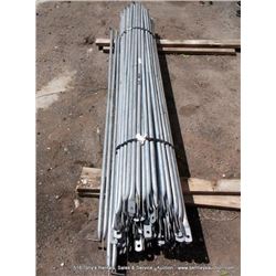 LOT:SCAFFOLD ARMS