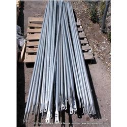LOT: SCAFFOLD ARMS