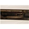 Image 15 : Colt 1883 Hammerless Double Barrel 12 Gauge