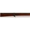 Image 9 : Terni Bolt Action Rifle