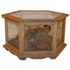Image 1 : Sage Grouse Taxidermy Mount Coffee Table