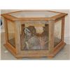 Image 3 : Sage Grouse Taxidermy Mount Coffee Table