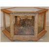 Image 4 : Sage Grouse Taxidermy Mount Coffee Table