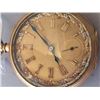 Image 2 : Hamilton 21 Jewel