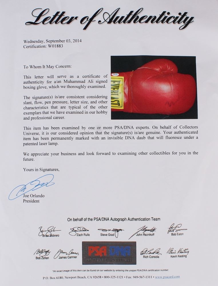 Ali macgraw Ali macgraw