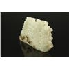 Image 3 : Fine White Jade Carved Fu Mouse with Grapes