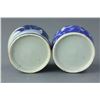 Image 2 : Pair of Qing Period Chinese BW Porcelain Waterpots