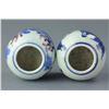 Image 3 : Pair of Qing Period Chinese BW Porcelain Waterpots