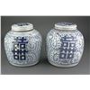 Image 1 : Pair 19th C. BW Porcelain Ginger Jars w/ Lids
