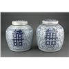 Image 2 : Pair 19th C. BW Porcelain Ginger Jars w/ Lids