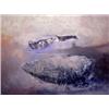 Image 1 : Hervas Amezcua (20th Century) Argentinian, BARCAZAS, 1989, oil painting on board, 30 x 40", sig...