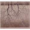 Image 1 : Japanese School (20th Century), REFLECTION, 1977, etching, signed in pencil "T. Ryohii"?, from...