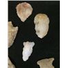 Image 4 : Group of 16 Arrowheads From Museum
