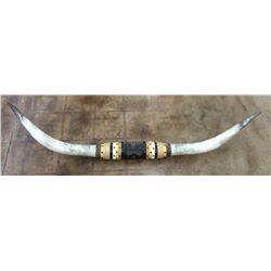 LARGE Decorative Steer Horns Mount