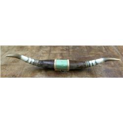 Another Decorative Steer Horn Mount