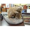Image 1 : TAXIDERMY AND MOUNTED BEAVER