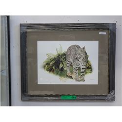 Framed Ron Parker print - "Bob Cat"