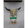 Image 1 : Small south western themed wall decoration