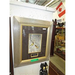 Framed Robert Bateman print - "Evening Grosbeaks"