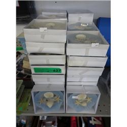 48 New shell shaped candles with inset shells