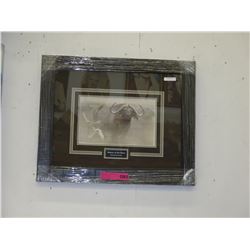 Framed Robert Bateman print: "Master of the Herd"