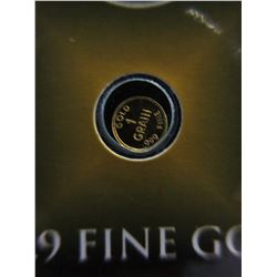 2 x 1 Grain .9999 Fine gold rounds
