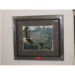 Signed - James T Jones print - "Eagle's Domain"