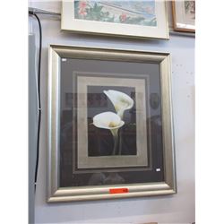 Well framed print of Calla Lilies