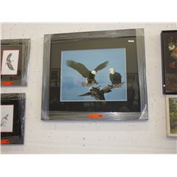 Signed - James T Jones print - "Eagles Landing"
