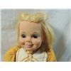 Image 2 : 1970 KENNER DOLL
