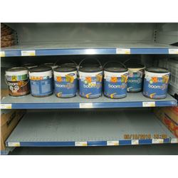 SL BOOMERANG 1 GALLON PAINTS