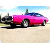 Image 2 : 2:30 PM SATURDAY FEATURE: 1971 CHARGER MAGNUM 440 4 SPEED CAR PANTHER PINK