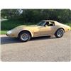 Image 1 : 1977 CHEV CORVETTE STINGRAY