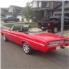 Image 1 : 1964 BUICK SPECIAL CUSTOM CONVERTIBLE