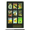 Image 2 : World Without A Superman (DC 1993) Condition: NM-. Monumental issue from Julie's library, signed by.
