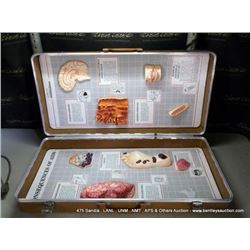 CONSEQUENCES OF AID MODEL (print sequence:) NO#