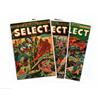 Image 1 : Color Xerox of Golden Age Covers This lot consists of two binders with gorgeous 7.25" x 10.25" color