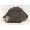 Image 2 : Meteorite Specimen