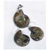 Image 2 : Ammonite Pendant and Earrings