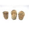 Image 1 : 3 Trilobite Fossils