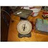 Image 1 : VINTAGE SCALE