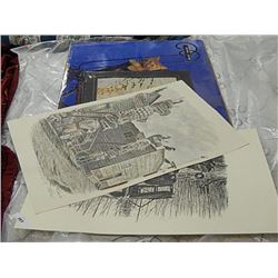 LOT OF PICTURES