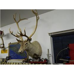 assortment available for auction - these are only preview pictures - lots listed closer to sale time