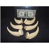 Image 1 : JURASSIC PARK VELOCERAPTOR CLAWS