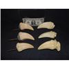 Image 1 : JURASSIC PARK T REX TOE CLAWS